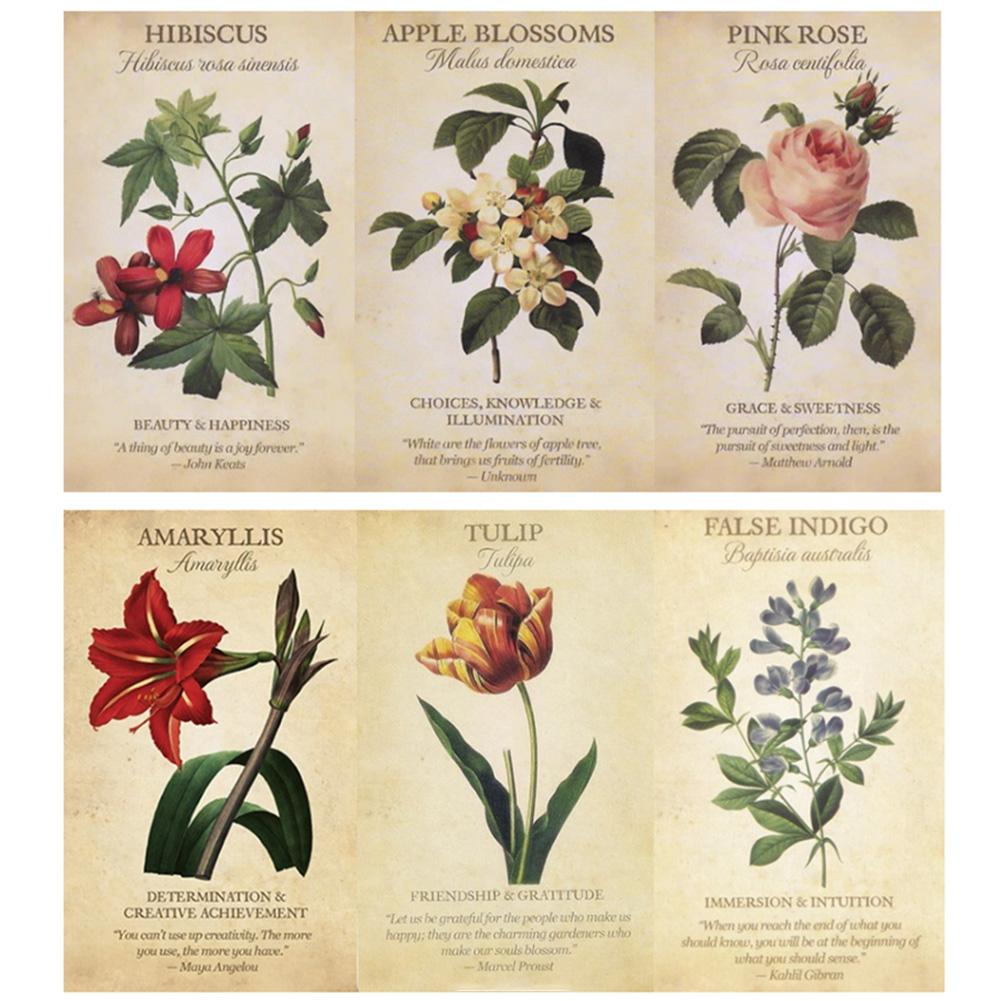 Botanical Inspiration Oracle-K – Board Game Inspiration Bewertung und Preis